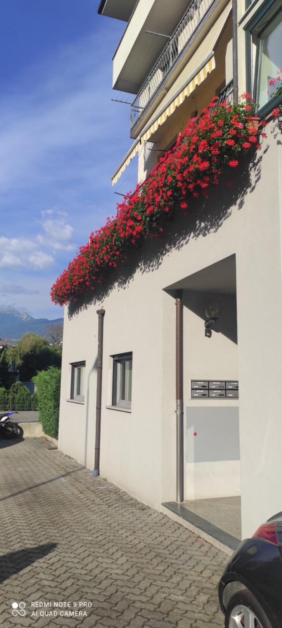 Casa Lina Tiranoアパートメント エクステリア 写真